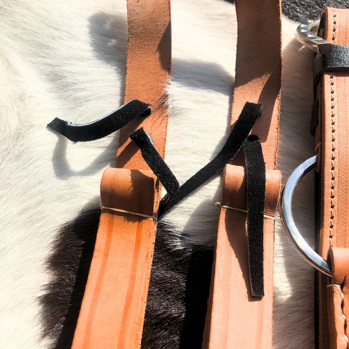 Arreata Em Couro Com Argola Ferradura Inox Natural