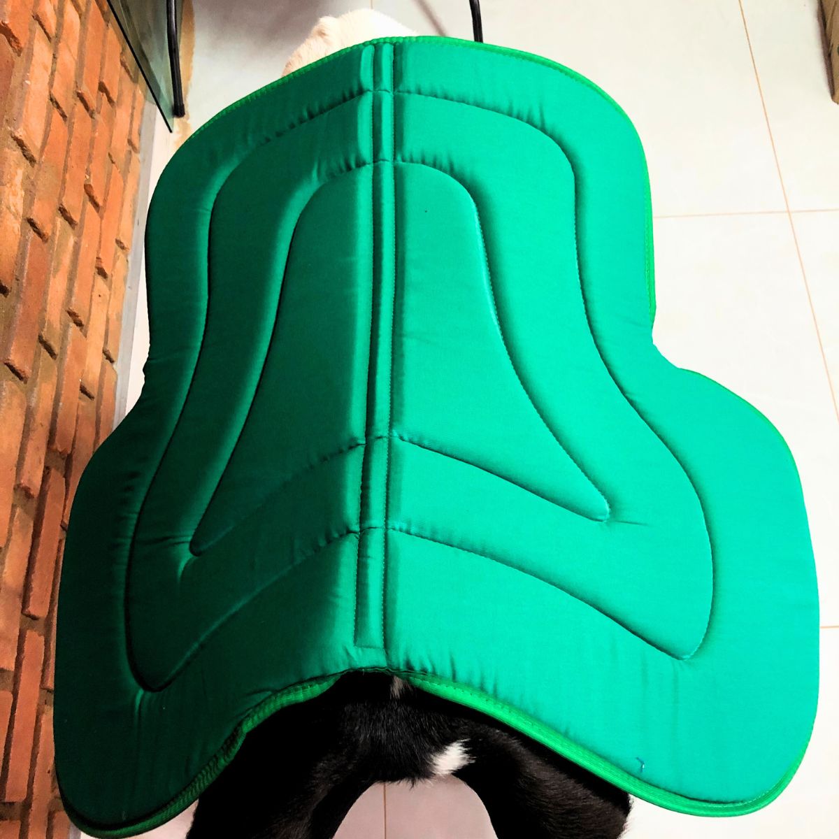 Baixeiro Borboleta Country Para Adultos Verde