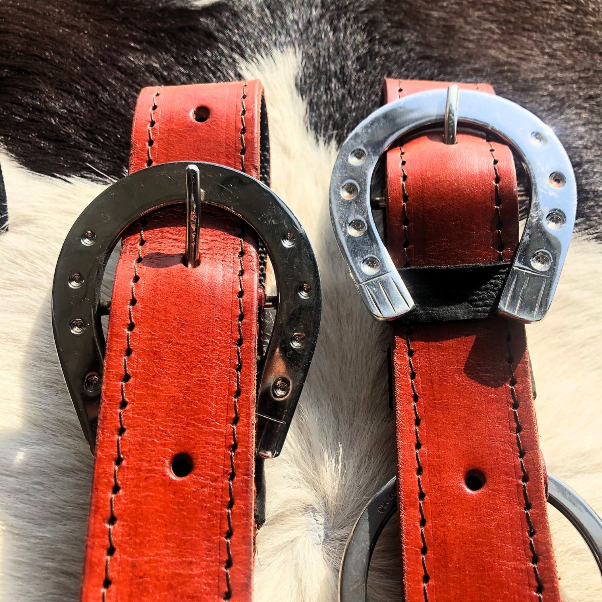 Arreata Em Couro Com Argola Ferradura Inox Havana