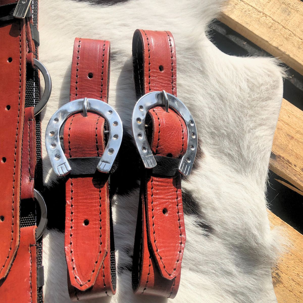 Arreata Em Couro Com Argola Ferradura Inox Havana