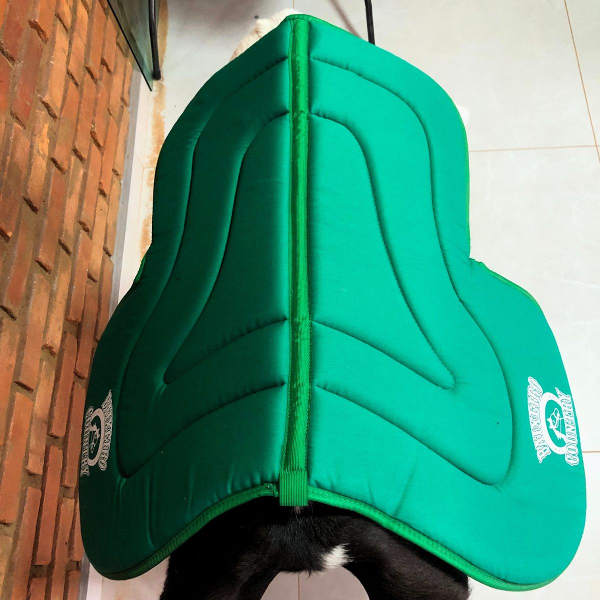 Baixeiro Borboleta Country Para Adultos Verde