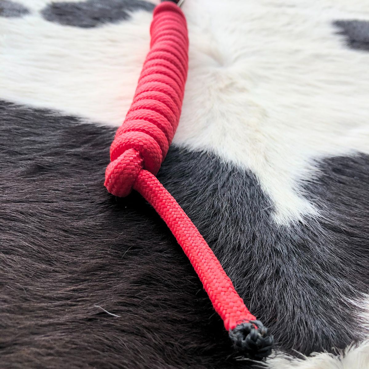 Cabresto Em Poli Com 2 Testeiras Vermelho