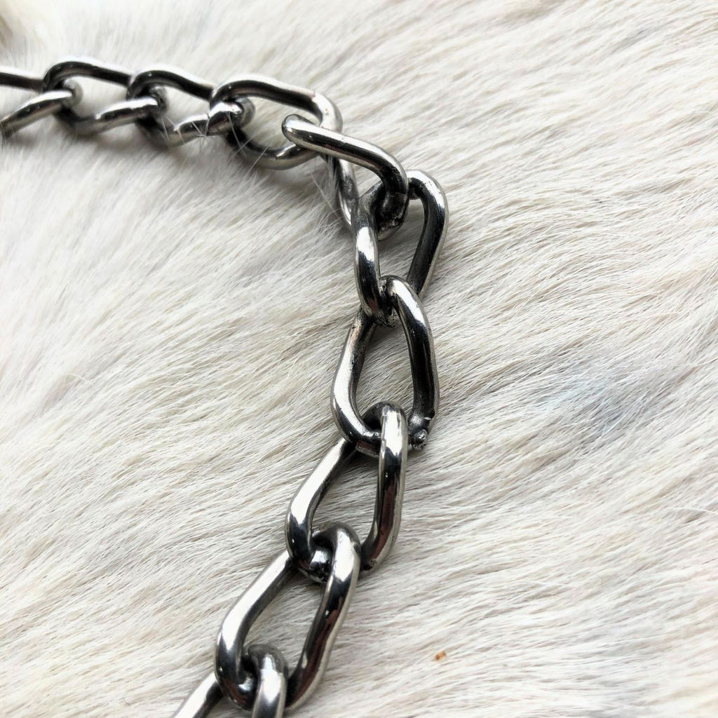 Cabresto De Corrente Inox Para Animal De Grande Porte