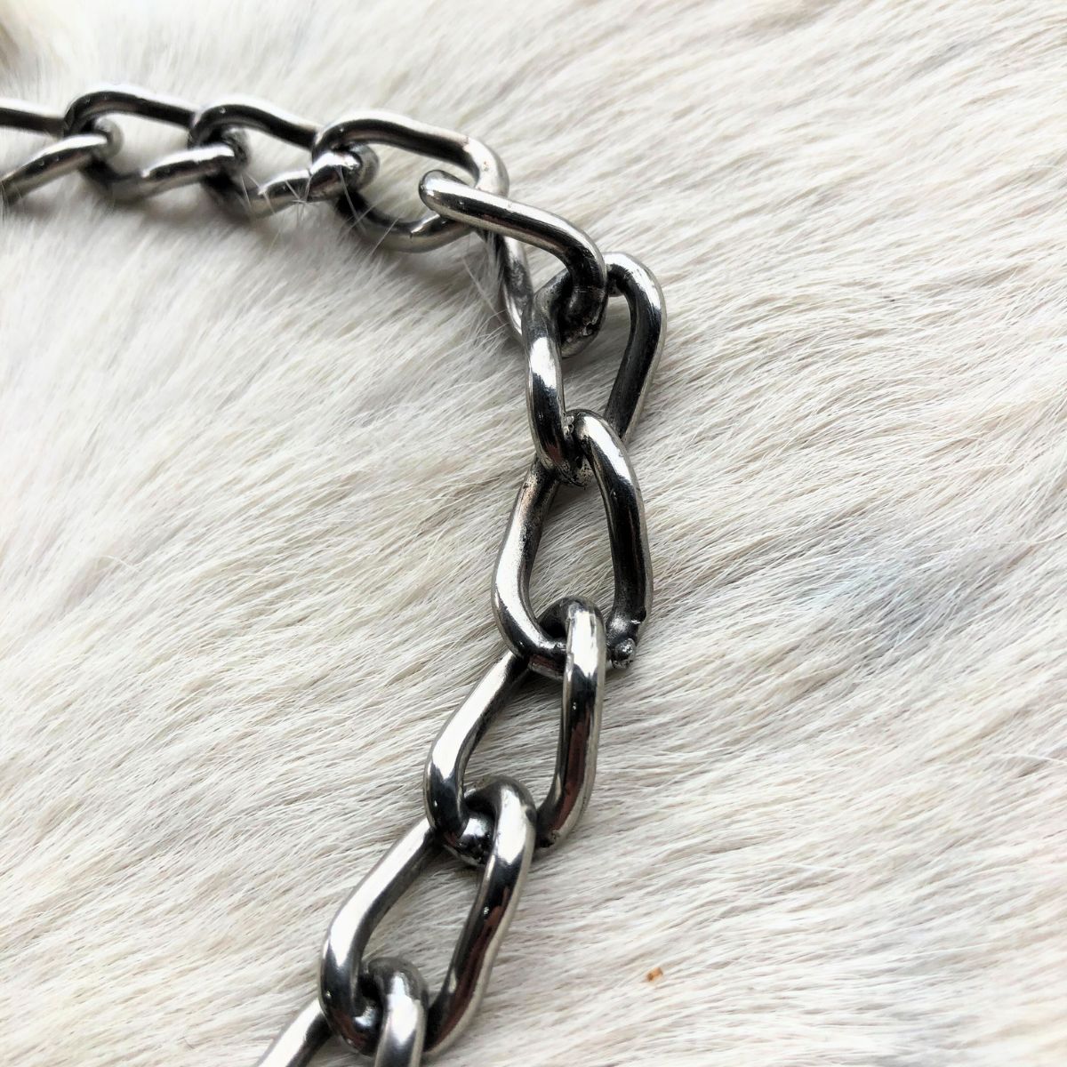 Cabresto De Corrente Inox Para Animal De Grande Porte