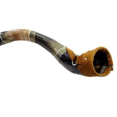 Berrante Ferradura Profissional 5 Chifres