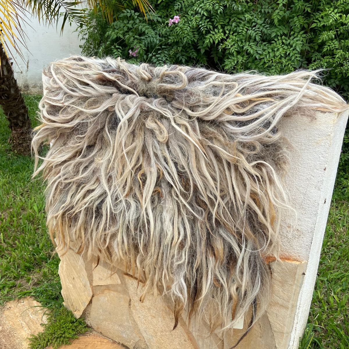 Cochonilho Penteado Em Lã De Carneiro Bege