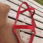 Cabresto de Fita para Cavalo