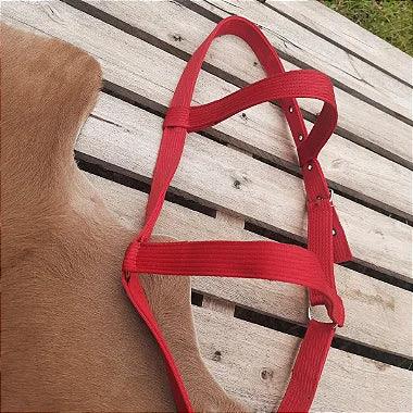 Cabresto de Fita para Cavalo