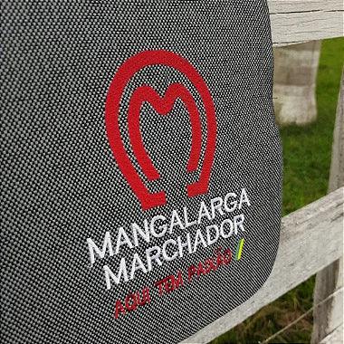 Manta Profissional Mangalarga Marchador Cinza