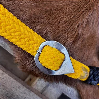 Kit Cabeçada e Peitoral Argolinhas Amarelo com Preto