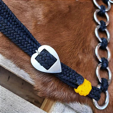 Kit Cabeçada e Peitoral Argolinhas Preto com Amarelo