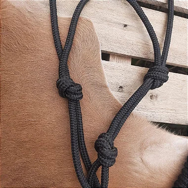 Cabresto Quatro Nós Preto De Corda Maciça Premium