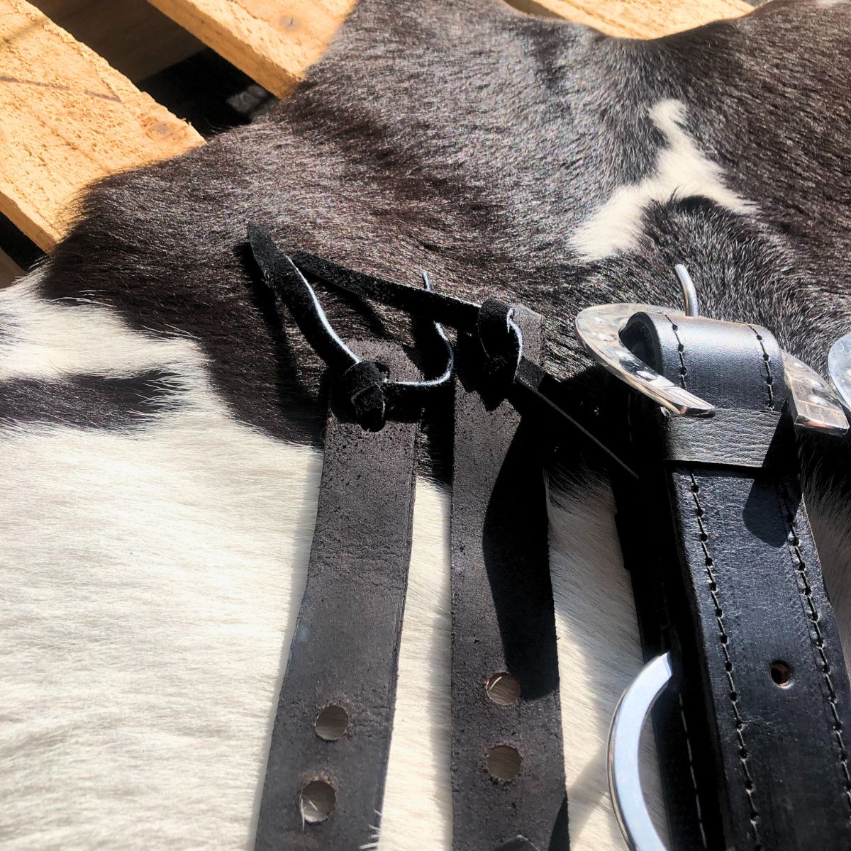 Arreata Em Couro Com Argola Ferradura Inox Preta
