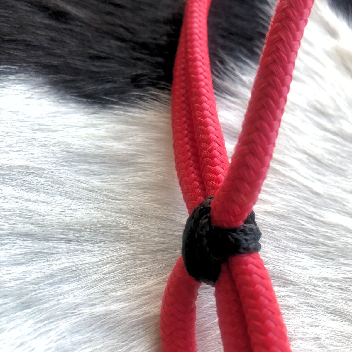 Cabeçada Em Cordinha De Poli Vermelho Com Preto