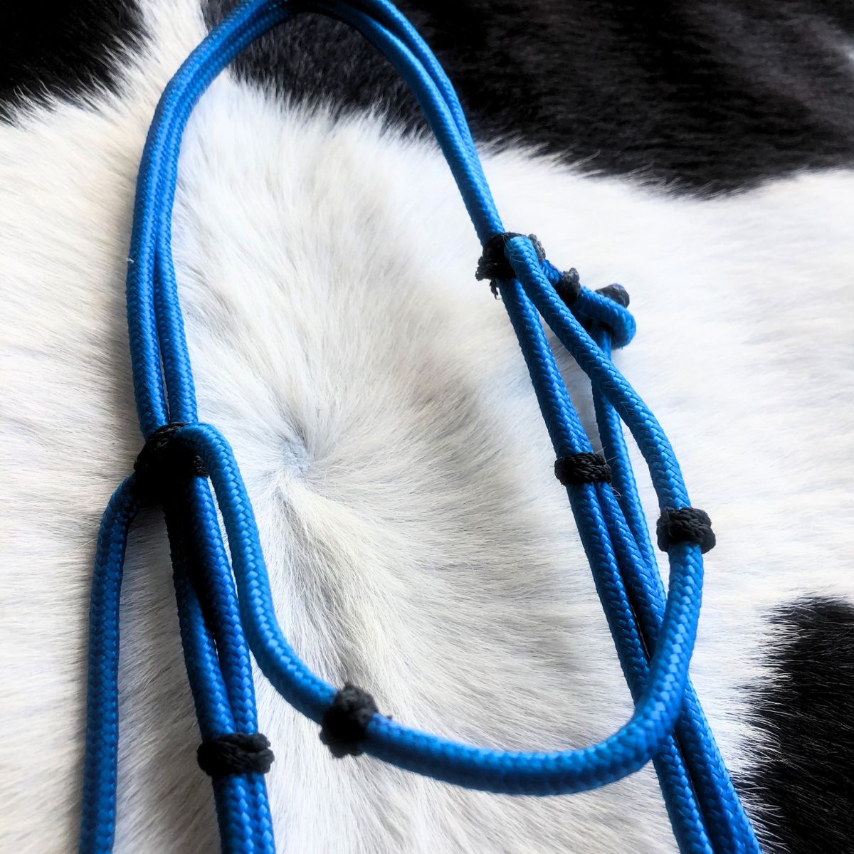 Cabeçada Em Cordinha De Poli Azul Com Preto