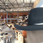 Chapéu Marcatto Country de Feltro Premium 14444 Preto