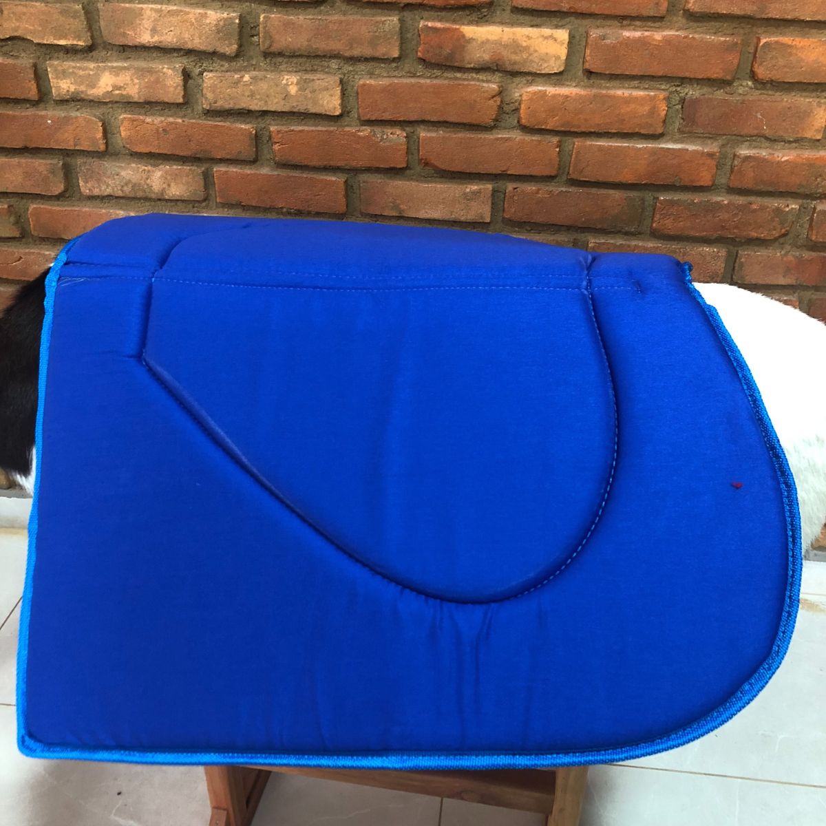 Baixeiro Country Para Adultos Azul