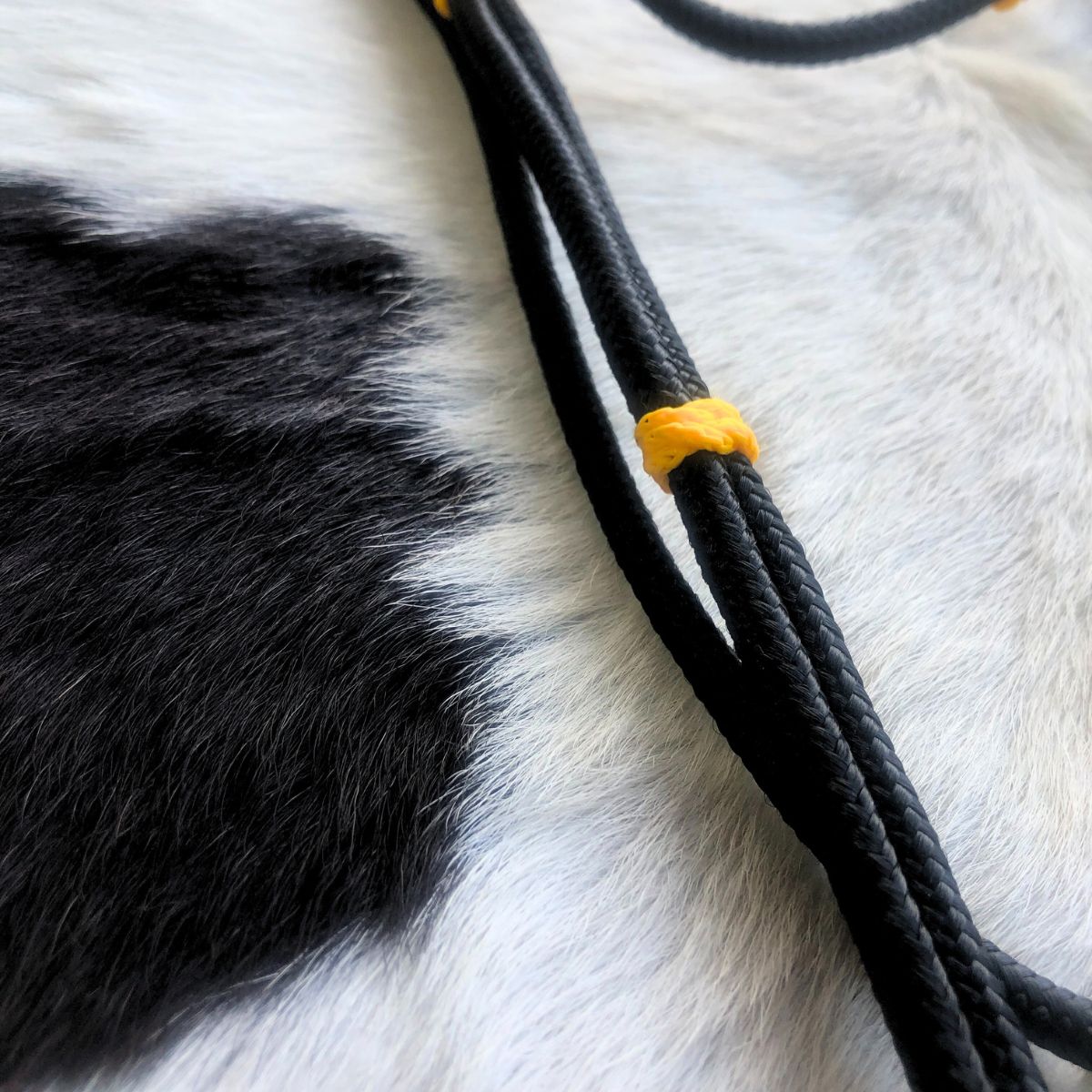 Cabeçada Em Cordinha De Poli Preto Com Amarelo