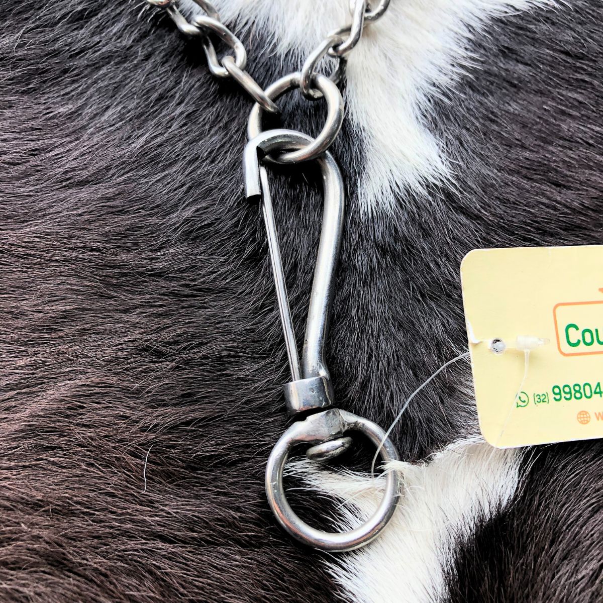Cabresto De Corrente Inox Para Animal De Grande Porte