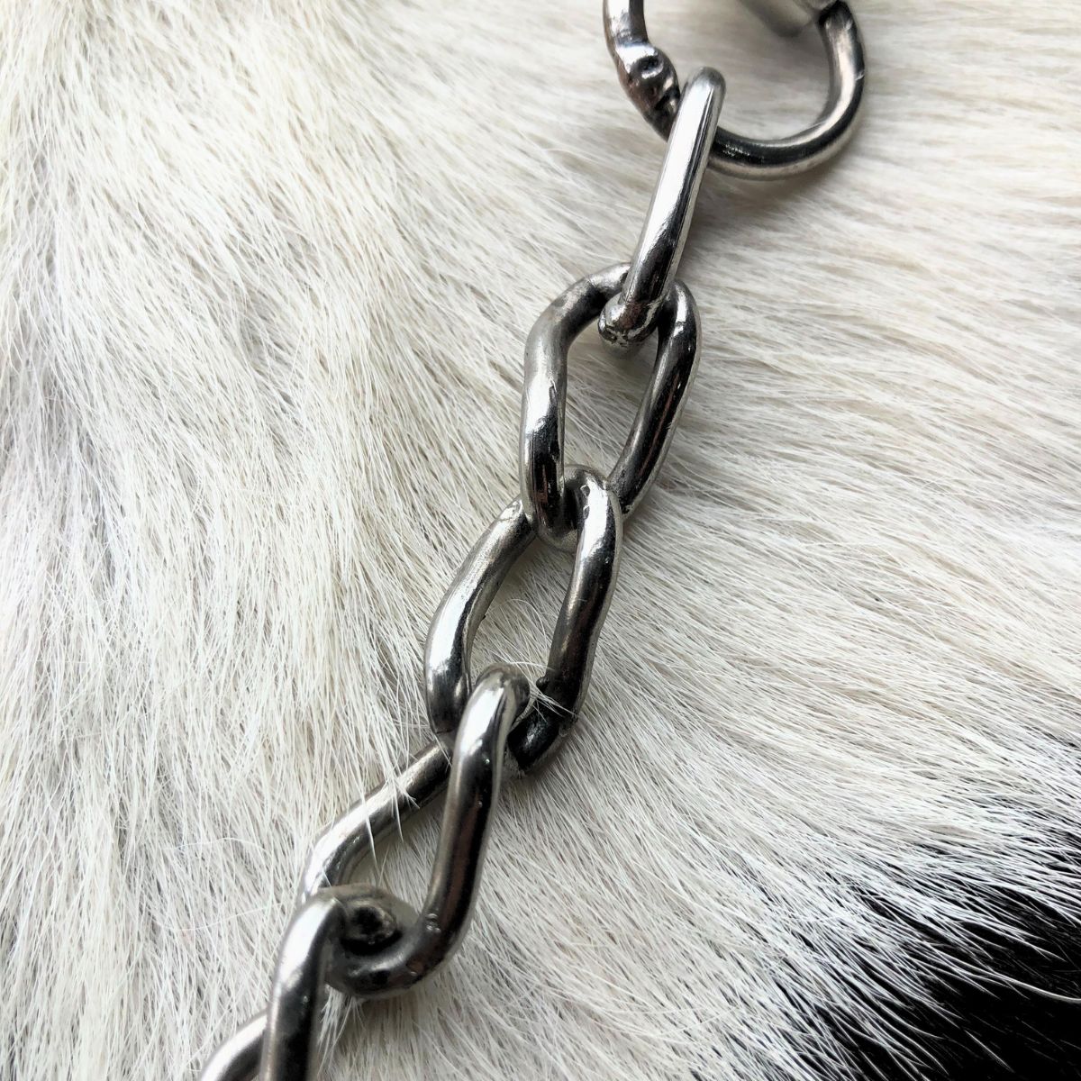 Cabresto De Corrente Inox Para Animal De Grande Porte