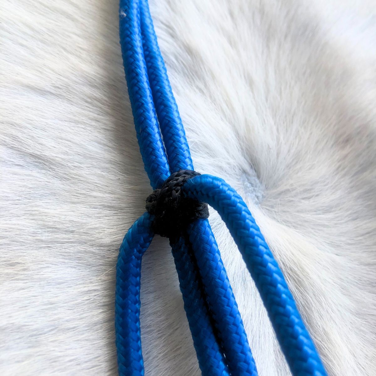 Cabeçada Em Cordinha De Poli Azul Com Preto