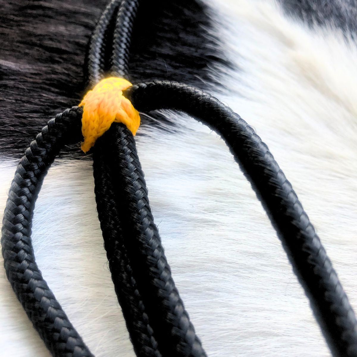 Cabeçada Em Cordinha De Poli Preto Com Amarelo