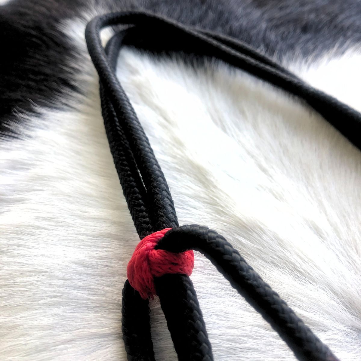 Cabeçada Em Cordinha De Poli Preto Com Vermelho