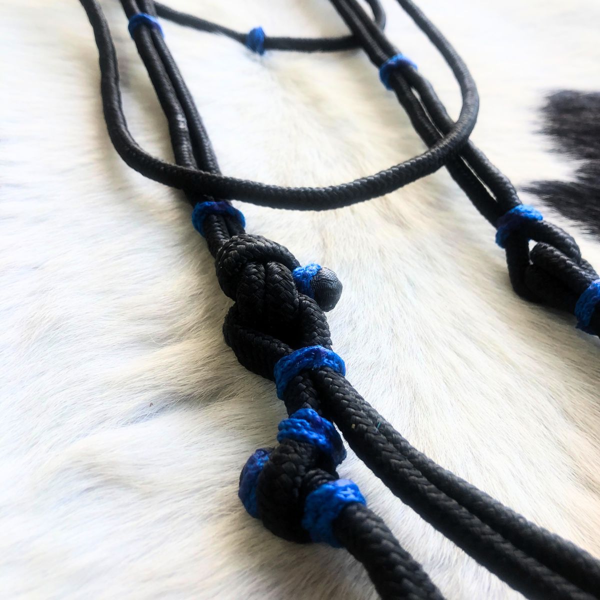 Cabeçada Em Cordinha De Poli Preto Com Azul