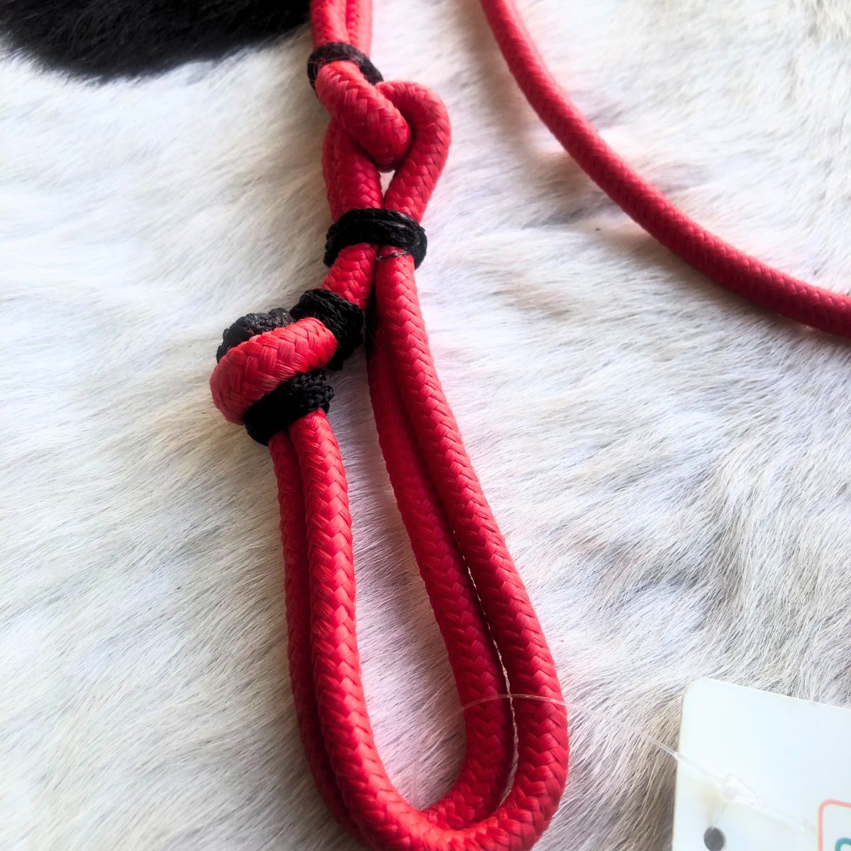 Cabeçada Em Cordinha De Poli Vermelho Com Preto