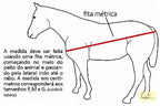 Capa de Inverno para Cavalo Preta